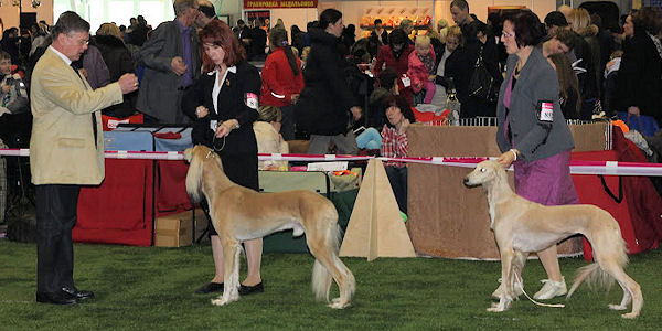 Hali BOS and Waida BOB